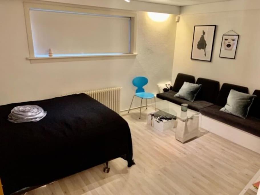 Sea Side 3br In Central With Free Parking Lejlighed Reykjavík